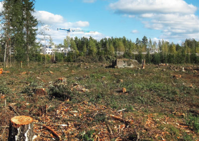 Service d'abattage et déboisement d'arbre a Longueuil sur la Rive-Sud / Emondeur Rive-Nord