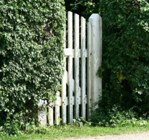 Taille de haie de cèdre dans Lanaudière - Émondeur Rive-Nord à l'Épiphanie