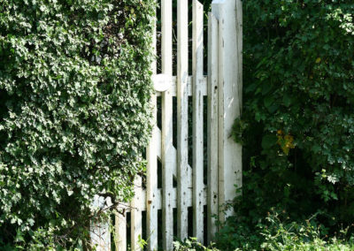 Service de taille de haie de cedre et fertilisation de gazon a Blainville / Emondeur Rive-Nord