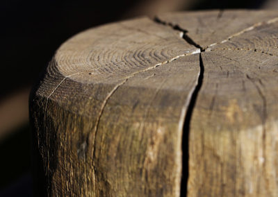 Service d'abattage et déboisement d'arbre a Longueuil sur la Rive-Sud / Emondeur Rive-Nord