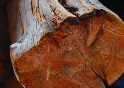 Service d'abattage et emondage d'arbre a Laval / Emondeur Rive-Nord