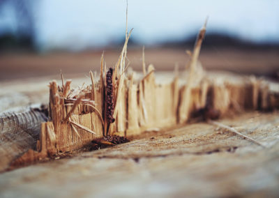 Service de dechiquetage de branche, d'essouchage et abattage d'arbre a Laval / Emondeur Rive-Nord