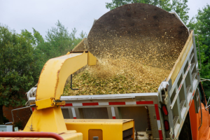 Estimation gratuite, pour un service d’abattage, essouchage, emondage, élagage, deboisement ou de déchiquetage de branches et de bois résidentiel, commercial ou agricole. En partenariat avec soumissionrenovation.ca afin de recevoir 3+1 soumissions!​ 