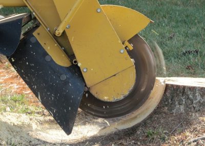 Service d'essouchage et abattage d'arbre a Montreal / Emondeur Rive-Nord