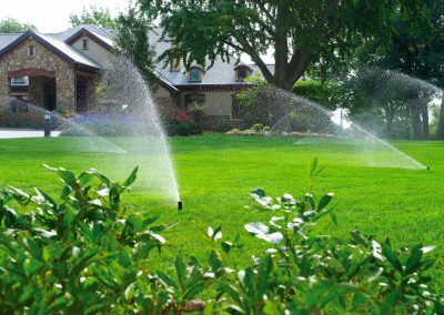 Service de taille de haie de cedre, plantation et fertilisation de gazon a Montreal / Emondeur Rive-Nord